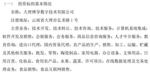 博導(dǎo)股份戰(zhàn)略布局?jǐn)?shù)字技術(shù)領(lǐng)域，擬投資500萬設(shè)立全資子公司大理博導(dǎo)數(shù)字技術(shù)