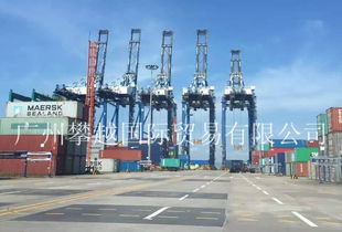 物流洗牌在即 黃埔海關(guān)破獲2億元快件走私大案，銷(xiāo)售代理鏈條浮出水面