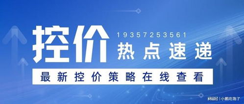 如何選擇專業品牌控價公司并展望2026年服務升級 聚焦信息技術咨詢服務